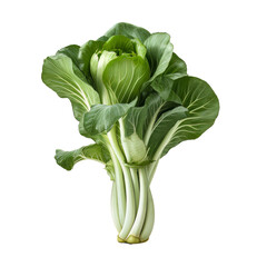 Bok choy vegetable cutout on a transparent background. Concept of food.