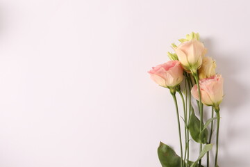 Fototapeta premium bouquet of flowers