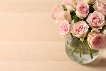 pink roses in a vase