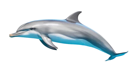 Fotobehang Dolphin. Isolated on Transparent background. ©  Mohammad Xte