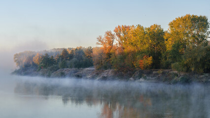 autumn in the forest