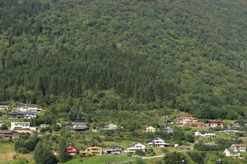 Fototapeta na wymiar landestypische Häuser am Berghang in Vik in Norwegen