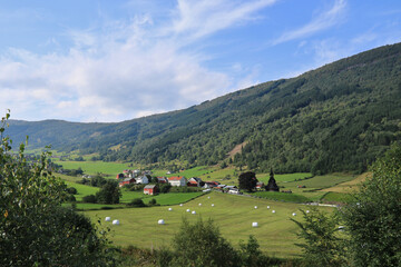 Landschaft in der Gemeinde Vik in Norwegen