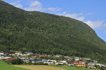 Fototapeta premium Häuser am Fjord in Norwegen