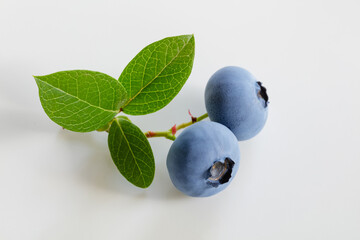 ブルーベリーの実