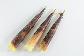 真竹のタケノコ