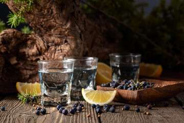 Gin with ingredients on an old wooden table.