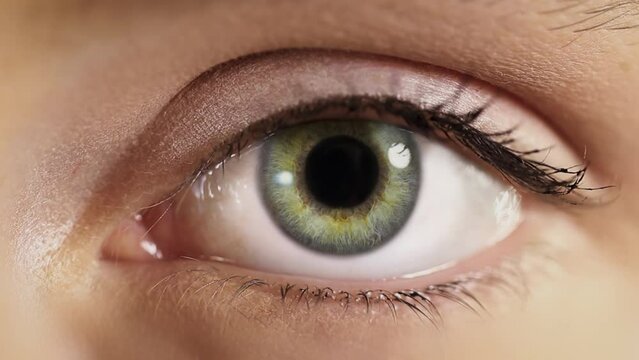 Beautiful Macro Shot of Female Green Eye Blinking. Black Pupil Dilating. Healthy Eyesight concept. Make up.