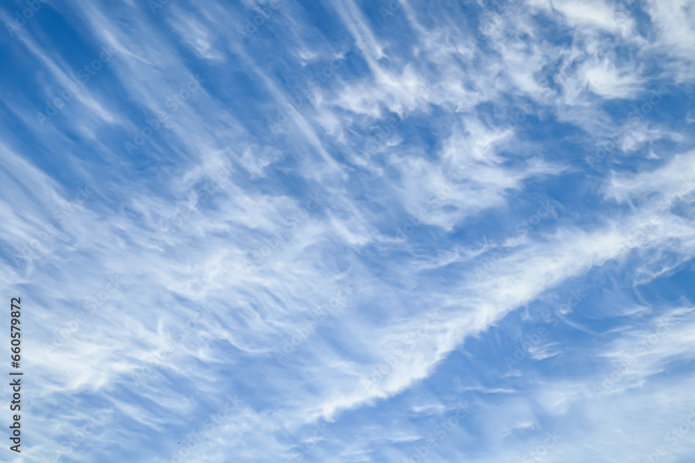 Wall mural white cirrus clouds on blue sky for background