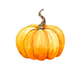 Watercolor pumpkin. Hand-drawn illustration isolated on the white background