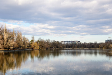 Landscape with large old trees near Herastrau lake in King Michael I Park (Herastrau) in Bucharest, Romania, in a sunny winter day