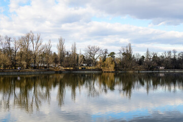 Landscape with large old trees near Herastrau lake in King Michael I Park (Herastrau) in Bucharest, Romania, in a sunny winter day