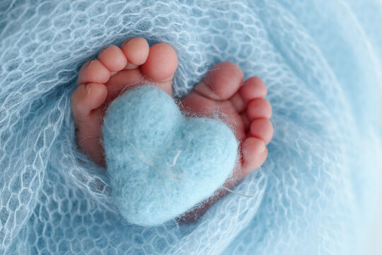 Closeup of toes, heels and feet of a newborn. Knitted blue heart in the legs of baby.The tiny foot of a newborn baby. Soft feet of a new born in a wool blue blanket. Macro studio photography. 