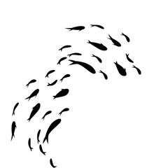 Swimming Fish Sillhouette  © Wulan