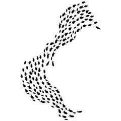 Swimming Fish Sillhouette 
