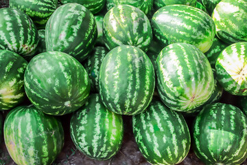 Bunch of ripe green watermelons for sale in the market