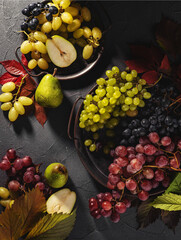 Autumn fruits and grapes harvest concept. Grapes on a tray