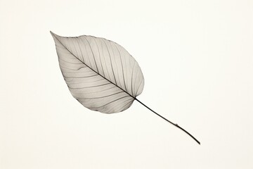 Minimalist gray leaf illustration for vintage home decor and wall pictures. Generative AI
