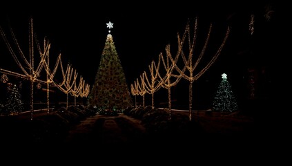 (4K) Colorful outside Christmas decorations AI