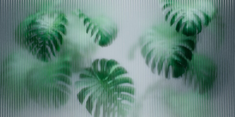 Tropical monstera plant behind reeded glass panel. Abstract botanical background with green foliage. Greenhouse architecture interior design. Asian indoor garden with palm tree wallpaper. - 660592861