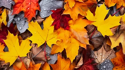 Foto op Canvas Happiness Embracing Autumn , beautiful nature autumn joy lifestyle outdoors park , artwork graphic design illustration. © HappyTime 17