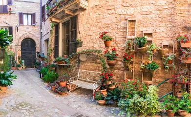 Foto op Plexiglas Smal steegje Traditional old villages of Italy, Umbria - beautiful Spello town. Charming floral streets decoration
