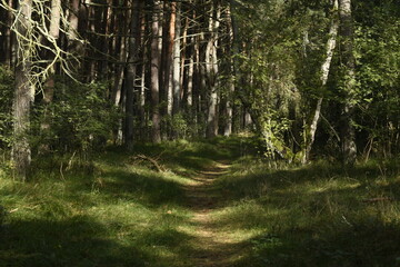 Nature is the material world of the universe, in fact — the main object of the study of natural sciences.