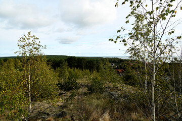 Obraz premium Nature is the material world of the universe, in fact — the main object of the study of natural sciences.