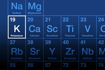 Potassium element on the periodic table. Alkali metal with element symbol K from kalium, and with atomic number 19. Essential for all living cells. Good sources are fresh fruits and vegetables. Vector
