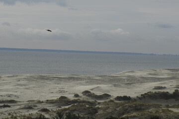 Nature is the material world of the universe, in fact — the main object of the study of natural sciences.