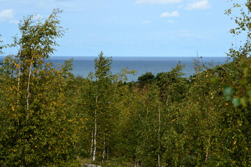 Nature is the material world of the universe, in fact — the main object of the study of natural sciences.