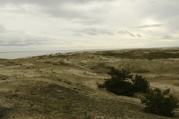 Nature is the material world of the universe, in fact &mdash; the main object of the study of natural sciences.