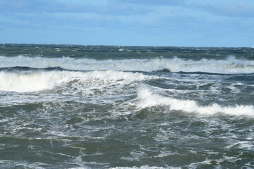 Nature is the material world of the universe, in fact — the main object of the study of natural sciences.