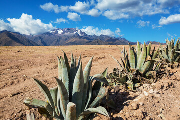 Rural landscapes in Peru