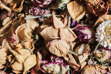 Dried rose flowers and petals. Floral decor.