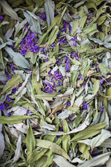  Willow Herb, Great Willow Herb, Fire Weed medical plant. Dried purple flowers. 