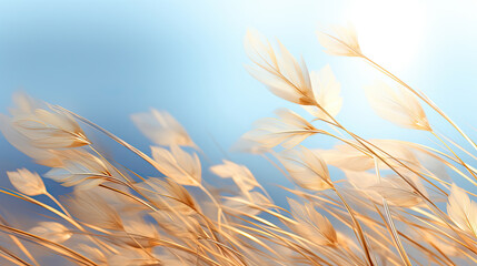 a blurry photo of a bunch of flowers on a sunny day.   Illustration of a Wheat color flower, Perfect for Wall Art.
