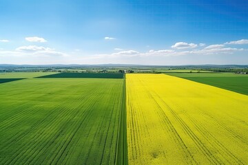 Aerial Drone Image Depicting The Division Between Green And Yellow Agricultural Area, Showcasing Two Fields From Above In Rural Countryside Backdrop Of Agricultural Nature