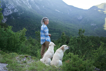 a girl in dreadlocks and two fawn Labradors against the backdrop of mountains. Friendship, walking...