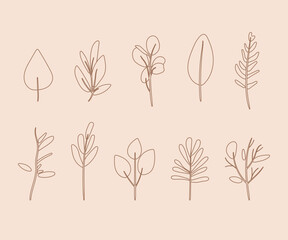 set of leaves and branches drawn in brown outline in minimalist style on soft background