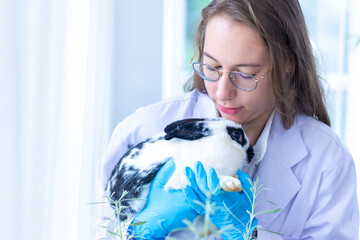 Scientist or pharmacist holding cute fluffy Bunny in laboratory. Friendship with Easter Bunny.