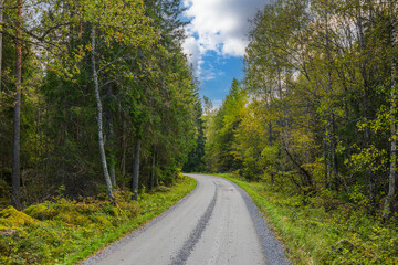 Fototapeta na wymiar Gorgeous autumn landscape with car road in forest. Sweden.