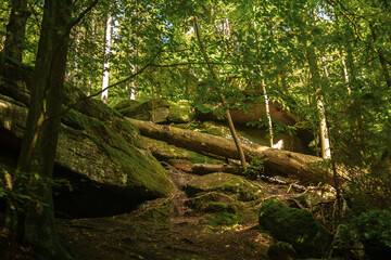 Fototapeta premium Beautiful nature of the Polish mountains Karpacz