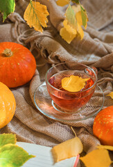 A mug of hot tea on a warm blanket with autumn leaves and pumpkins. Autumn mood.