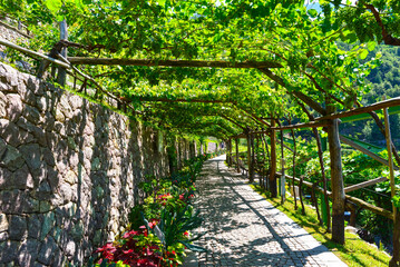 Gärten von Schloss Trauttmansdorff in Meran, Südtirol (Italien)