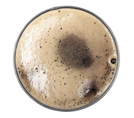 Glass of dark stout beer with foam, isolated on white, top view clipping path 