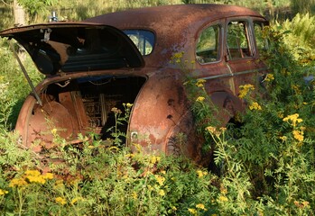 Abandoned Rust Bucket Auto