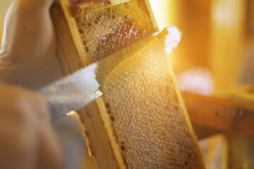 The beekeeper using a knife prints honeycombs with nesting frames.