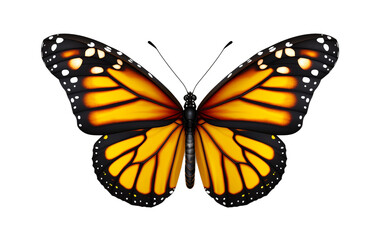Macro Shot of a Monarch Butterfly's Beauty on Transparent background