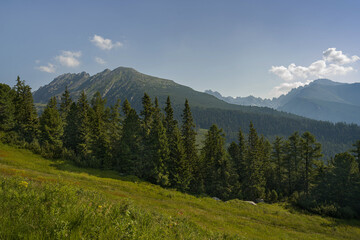 Hiking in the mountains. The beauty of the mountains.